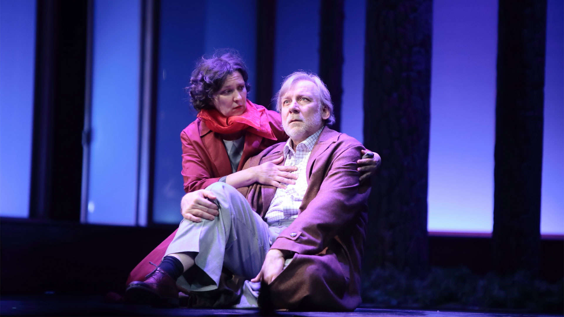 Спектакль «Старомодная комедия»